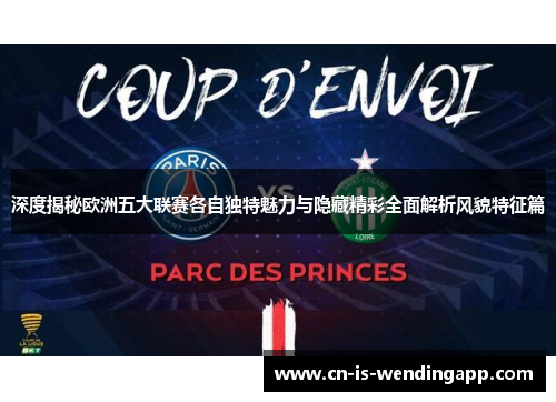 深度揭秘欧洲五大联赛各自独特魅力与隐藏精彩全面解析风貌特征篇