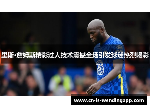 里斯·詹姆斯精彩过人技术震撼全场引发球迷热烈喝彩