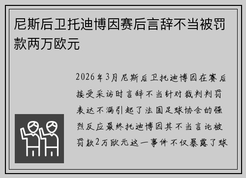 尼斯后卫托迪博因赛后言辞不当被罚款两万欧元